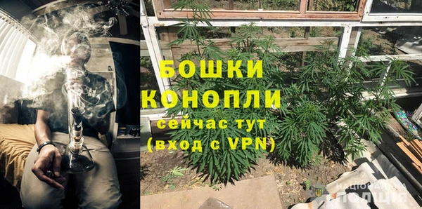 мдпв Лихославль