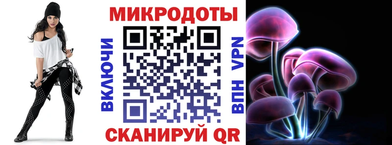 Купить  Никольское  Галлюциногенные грибы MAGIC MUSHROOMS 